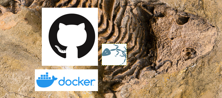 Setting up a Fossil Docker Image for All